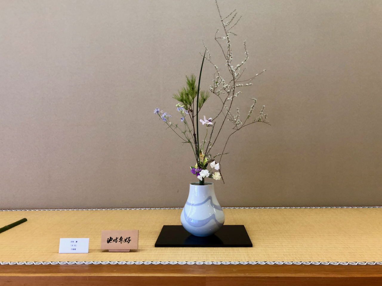 京都市中京区】全国で活躍する華道家のいけばな800点を展示する大規模